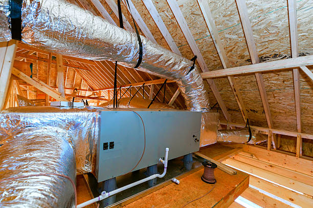 Top rated local Hvac Maintenance specialists in Colfax, IL